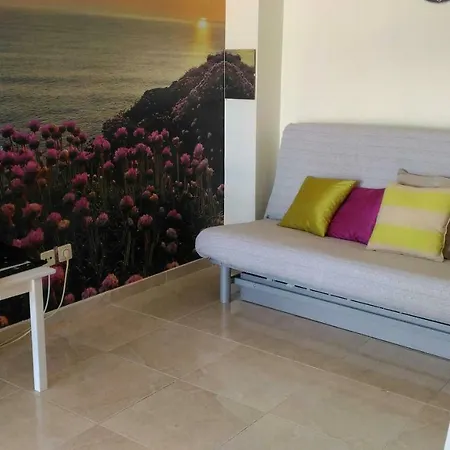 Sea Flowers Ericeira